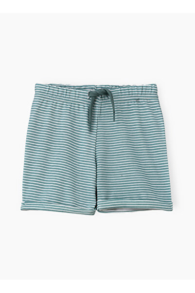 Basicxx Boys' Teal Striped Cotton Shorts