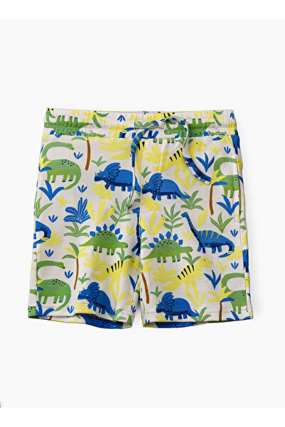 Basicxx Boys' Colorful Dinosaur Print Cotton Shorts