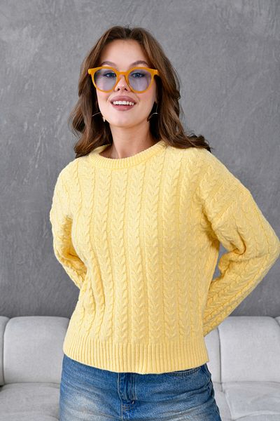 Park Karon Women's Crew Neck Knit Detail Knitwear Sweater