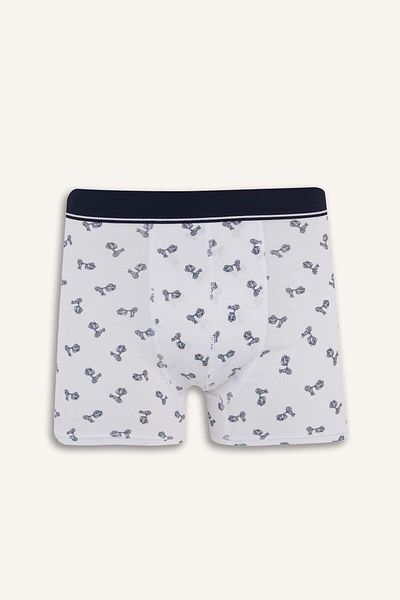 DeFacto Regular Fit Patterned 3-Piece Boxer E3238Ax25Sp