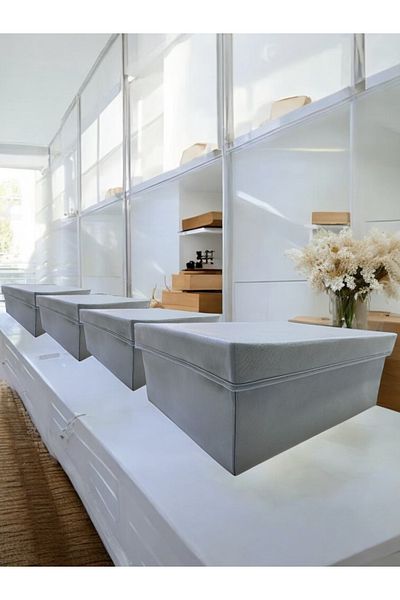 Balkan Room 4 Pieces Flip Lid Cabinet Organizer Box Multi-Purpose Storage Box Xxlarge 50X40X20 cm