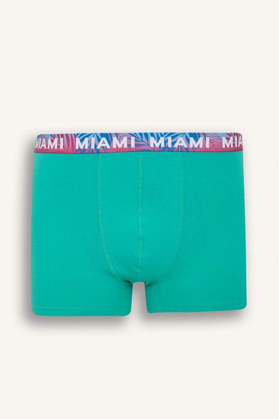 DeFacto Regular Fit 3-Pack Boxer D9874Ax25Sp