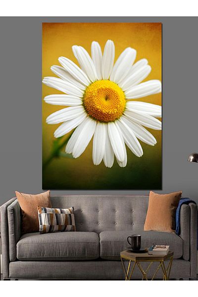 Tablomega Daisy and Innocence Decorative Canvas - Mdf Wooden Painting