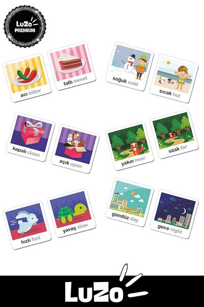 LuZo Premium Educational Tutorial Developing Intelligence Hand Eye Coordination Mother Child 48 Pieces Opposite Concepts Game