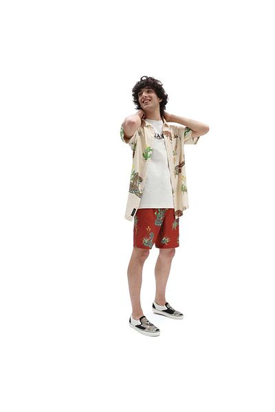 Vans VANS Desert Snake Shorts