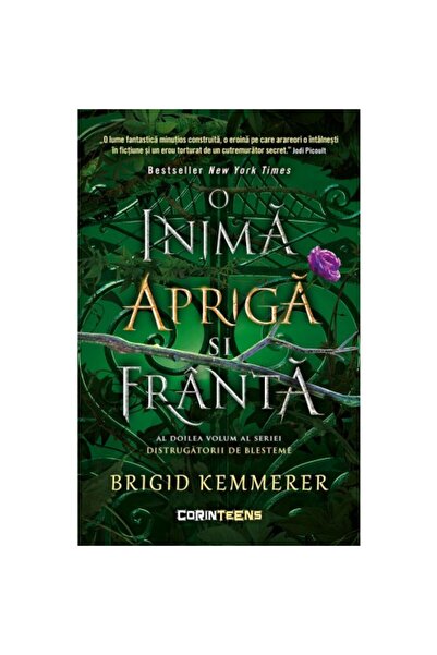 Corint Οι Σπασμένοι Κατάρες Τόμος 2. Μια Άγρια και Ραγισμένη Καρδιά, Μπρίγκιν...