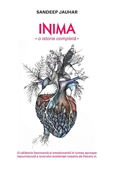 Rao Η καρδιά. Μια πλήρης ιστορία, Sandeep Jauhar