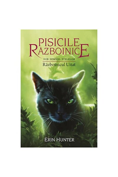 All Pisicile Războinici Vol.23: Războinicul Uitat - Erin Hunter