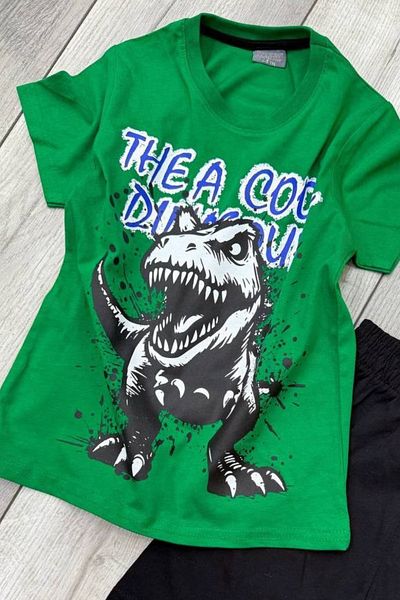 eQru Store Dinosaur Printed Green T-Shirt and Black Shorts Summer Kids Set
