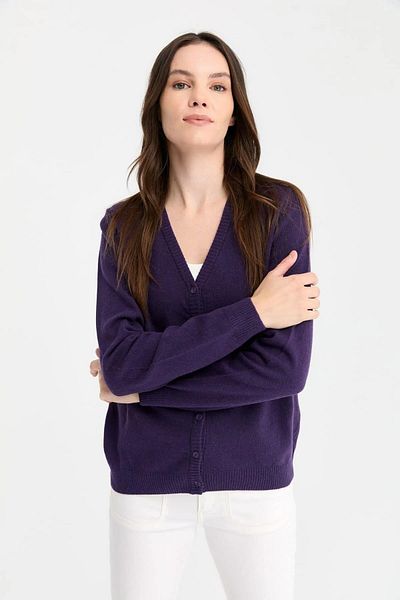Desen V-Neck Standard Fit Purple Women's Wool Cardigan Dsn24K21021