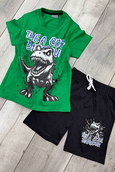 eQru Store Dinosaur Printed Green T-Shirt and Black Shorts Summer Kids Set