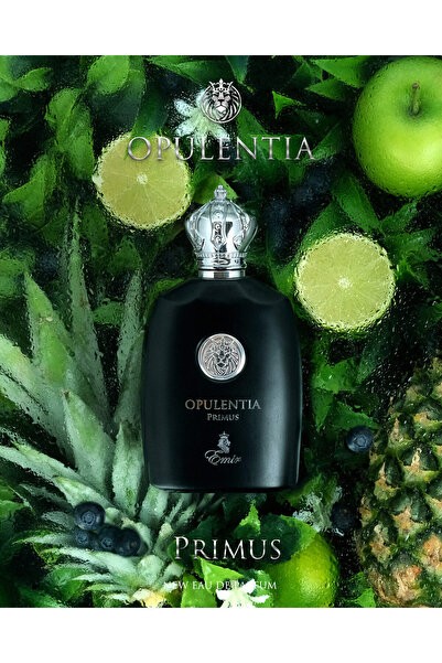 Paris Corner Apa de parfum Emir, Opulentia Primus, Barbati, 100 ml