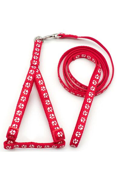 Pet Aksesuar Dog Collar and Leash Set 2Si1, 1.5 cm