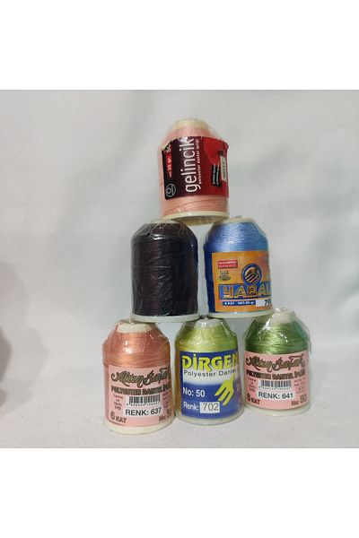 Selen 20 Gr Needle and Lace Thread 6 Pcs Mixed Production