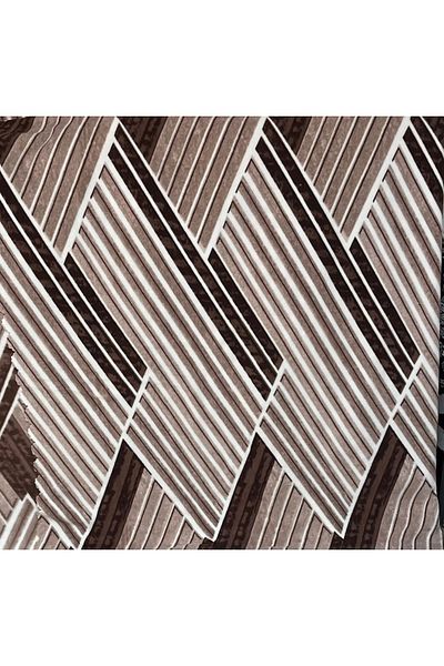 AMASYALI HOME 6 M2 Rubberized Carpet Cover 200*300 Dimensions Have Additional Extra Curling Share