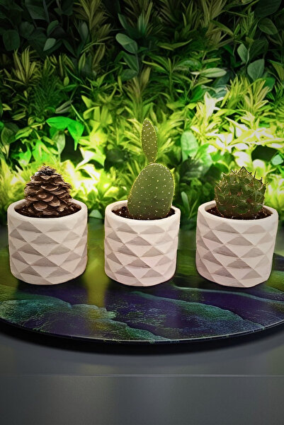 decoronay Beyaz Prizma Mini Saksı Seti 3 lü Modern Tasarım Kaktüs & Sukulentlik