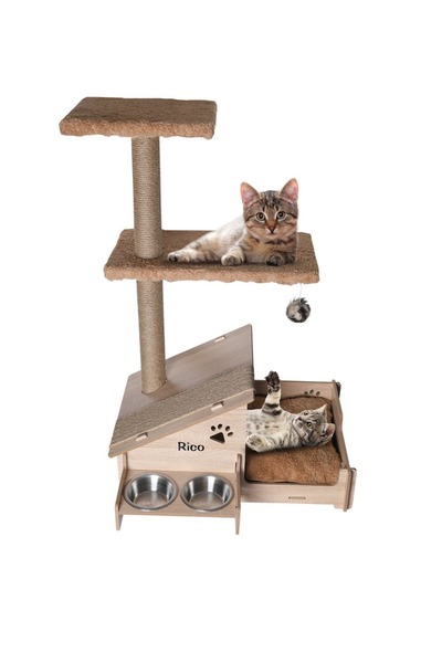 RealWood Çok Amaçlı Katlı Kedi Evi-isim Baskılı-ahşap Mdf-tırmalama Çubuklu-k...