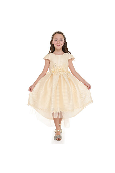 Victor and Jane Girls Champange High Low Tail Dress With 3D Applique