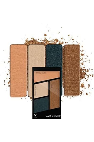 WET N WİLD Wet n Wild Color Icon EyeShadow Quad 343B Hooked On Vinyl