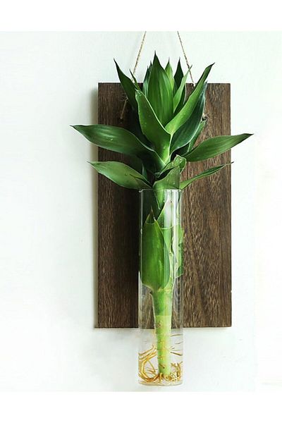 MIBRU Wall Mounted Wooden Plant Pot, Multicolor Hanging Planter for Indoor & Outdoor Decor