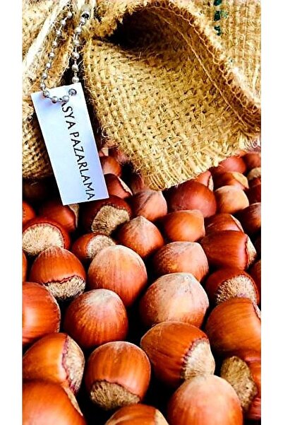 ASYA PAZARLAMA Yeni Mahsul 1kg 1.kalite Kabuklu Fındık, Tombul Ve Iri Fındık, Sezonluk Taze Fındık, Organik Fındık
