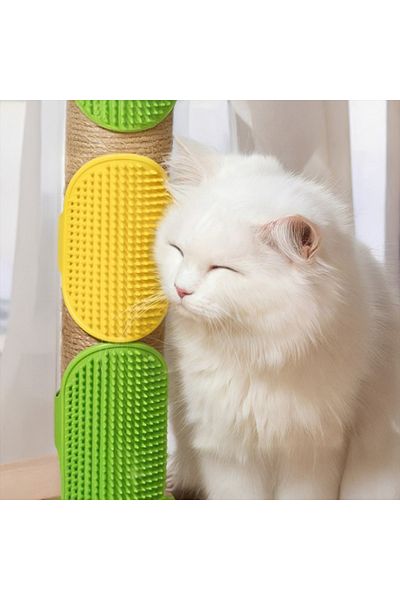 Lady Fify Silicone Hair Collection and Washing Brush for Cat Dog