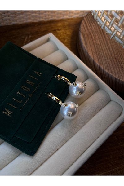 Miltonia Stylish Steel Earrings with Zircon Stone over Pearl
