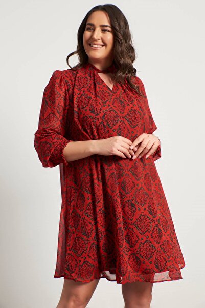 MYLİNE Gimped Chiffon Dress with Collar Detail