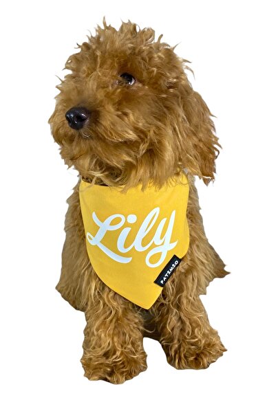 PATİMİO Isme Özel Kedi Ve Köpek Yellow Tasma Fular Bandana