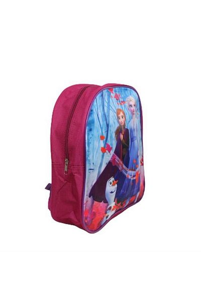 Frozen Disney Frozen schoolbag, model fr211705 30 x 25 x 10 cm