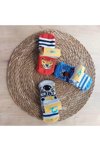 Defne Baby 6 ÇİFT HAVLU PAMUKLU KAYDIRMAZ TABAN KIŞLIK ERKEK  ÇOCUK VE BEBEK SOKET ÇORAP