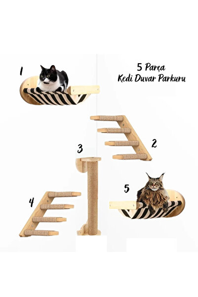Kedi Oyun Parkuru 5'li Takım