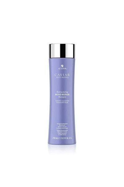 ALTERNA Intensive Repair Shampoo that Reveals the Natural Structure of Your Hair 250ml