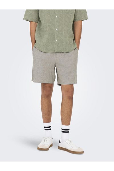 Only & Sons Shorts ONSTEL Normal geschnitten Shorts