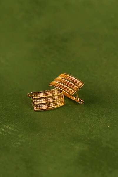 Çgk Çiğdem Gürel Kuyumculuk 22 Ayar Altın Yaldızlı Hasır Model Küpe – Kadın, ...