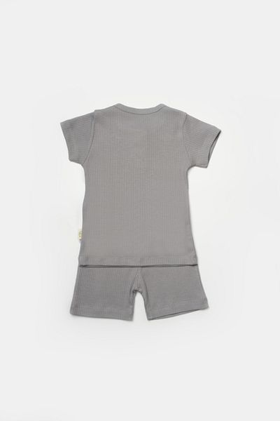 BabyCosy Organic Wear Bamboo T-shirt and pants set, gray, BabyCosy, 50% cotton + 50% bamboo Size: 12-18 months