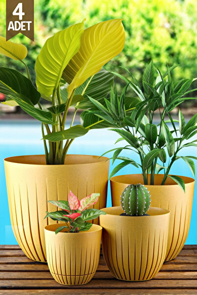 Nandy Home 4'Lü Line Model Saksı Seti