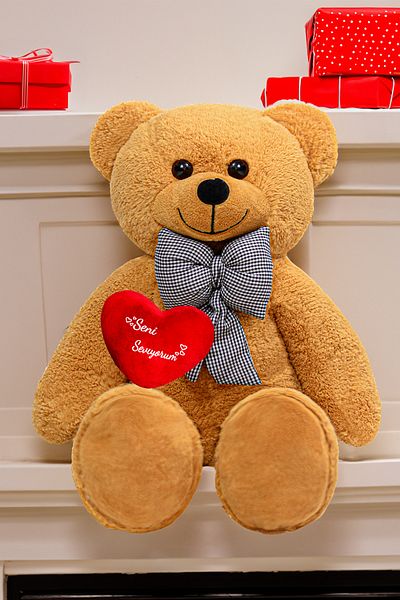 Canestar I Love You Big Plush Bear with Heart - Special Gift for Lover - Bow Tie Bear