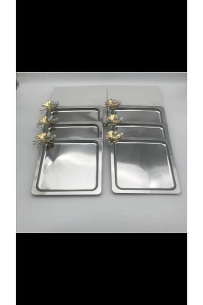 Esina 6-Piece Stainless Steel Square Presentation Tray - With Butterfly Accessory, Catering Coffee and Tea Presentation