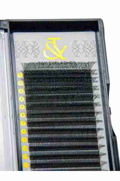 T&Y EYELASH İpek Kirpik , 0.07 Kalınlık , W 6P D Kıvrım , 16 mm , T&Y
