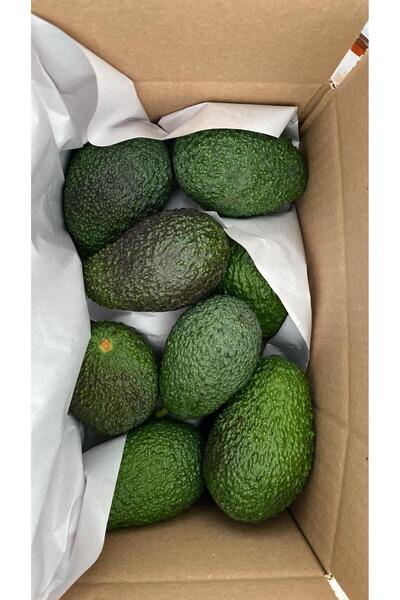 ARI ORGANIC Avokado 1kg- Mini Boy (ÇOCUK VE BEBEKLER IÇİN)