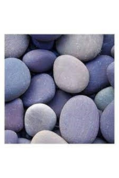 Hataş Teknik Hırdavat Naturel Dekoratif Boyama Taşı Çocuklar Çocukluğunu Yaşa...