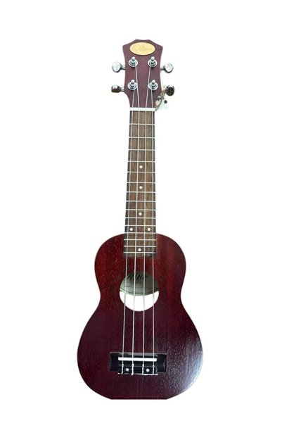 erdem ince müzik merkezi Soprano Ukulele Patuk Agacı