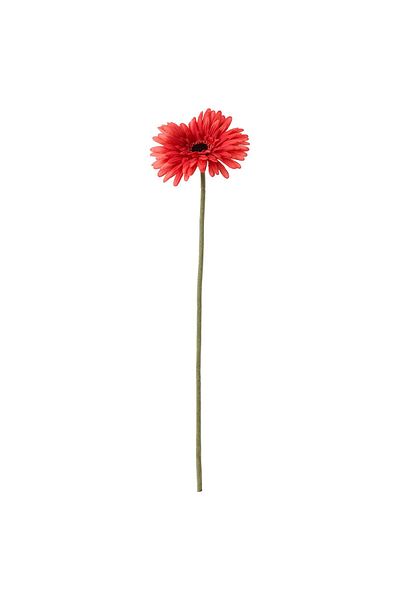 IKEA SMYCKA Artificial flower, Gerbera/red, 50 cm