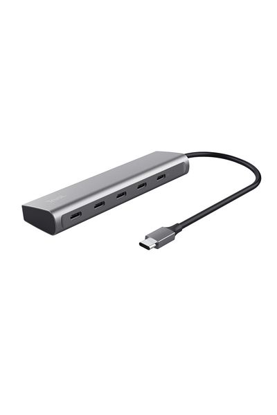 Trust Hub USB Trust Halyx TR-25136, 5 USB Type-C, 100 W (Gri)
