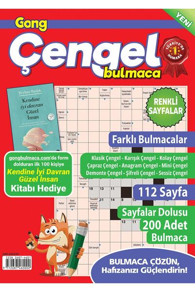 Gong Çengel Bulmaca 013