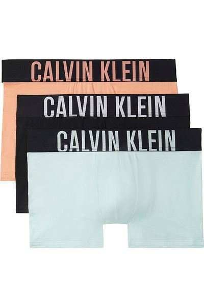 Calvin Klein Men Multicolored Pack of 3 Trunks