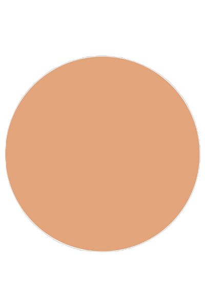 TOPFACE Finisare mat Pudr Compact Skin Editor - PT263.012