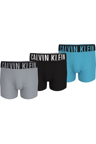 Calvin Klein Men Multicolored Pack of 3 Boxer Briefs