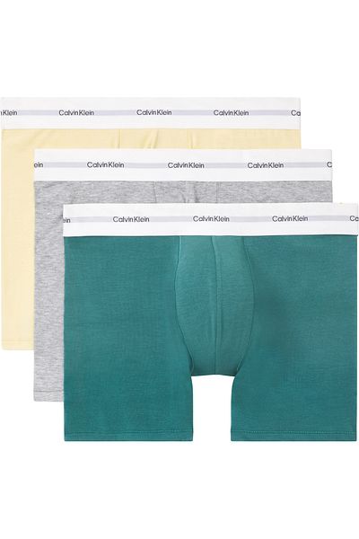 Calvin Klein Men Multicolored Pack of 3 Boxer Briefs